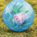 Plastic Mini Jogging Ball Pet Hamster Gerbil Running Ball Play Toys (Blue)