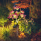 2x LED Solar Garden Orchid Light Waterproof Landscape Fence Decor (Pink) Newly