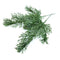 23cm Artificial Cypress Leaves Simulation Flower Christmas Bouquet Wedding G0Z3