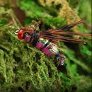 10x Sequins Fly Fishing Lures Artificial Bait Flies with Barbed Hook (12) Newly