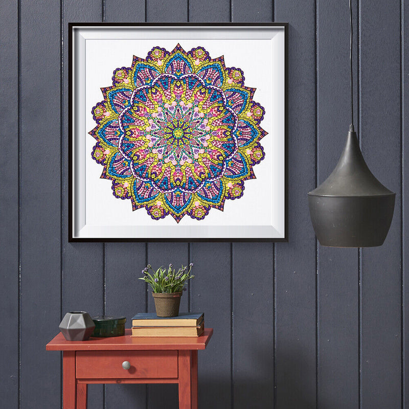 Partial Drill 5D Special Shape Diamond Painting Abstract Mandala Kit (X054)