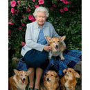 5D DIY Diamond Painting Kit Full Round Drill Queen of England and Corgi (sz2275)