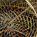 Foldable Fish Protection Basket Portable Wire Fish Crab Starage Cage (25cm)