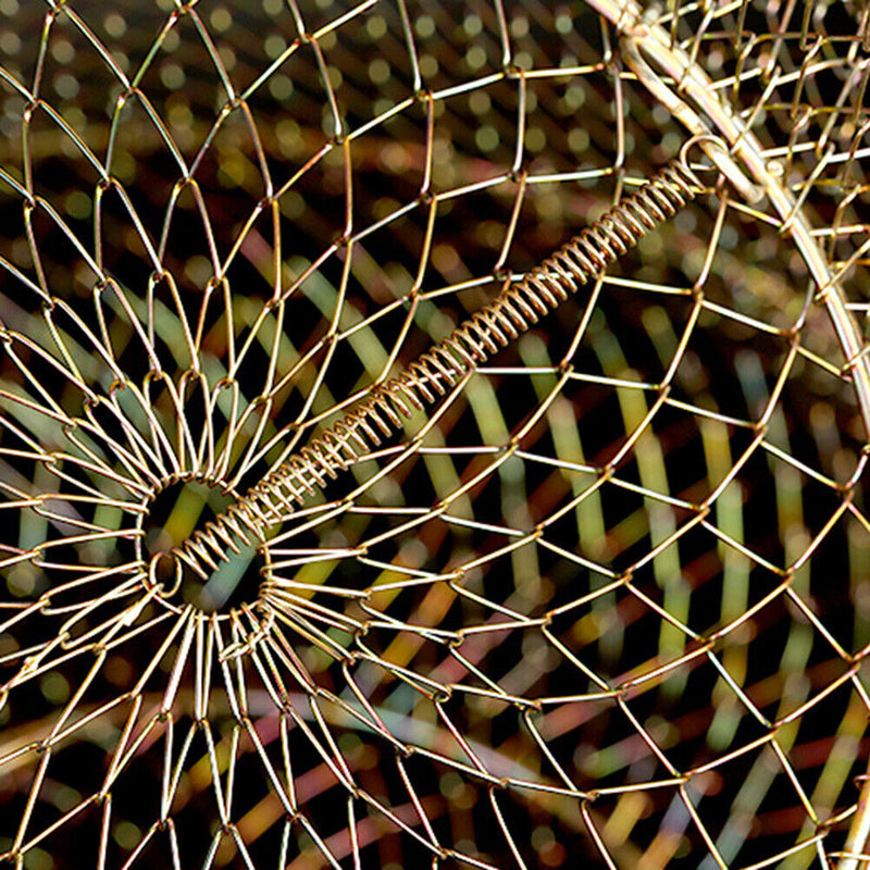 Foldable Fish Protection Basket Portable Wire Fish Crab Starage Cage (25cm)