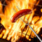 5x Outdoor BBQ Forks Stainless Steel Telescopic U-Shaped Camping Barbecue Sticks