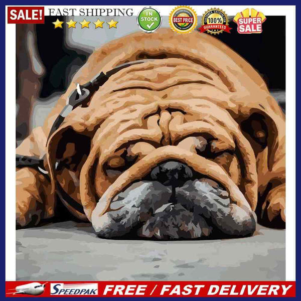 Hand Painted on Canvas DIY Sleeping Dog Oil Paint By Numbers Drawing Kit Cr