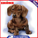 DIY Digital Picture Dog Frameless Painting By Numbers Set Acrylic Handicraft Art