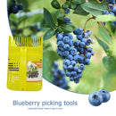 Blueberry Picker Ergonomic Orchard Fruit Picker Fruit Basket Garden Harvest Tool