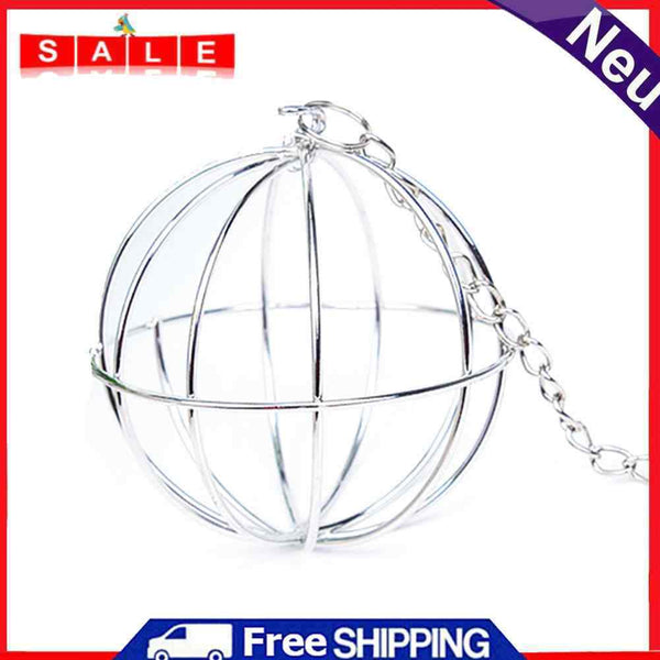 Hay Ball Grass Feeder Stainless Steel Round Ball for Rabbit Guinea Pig Hamster