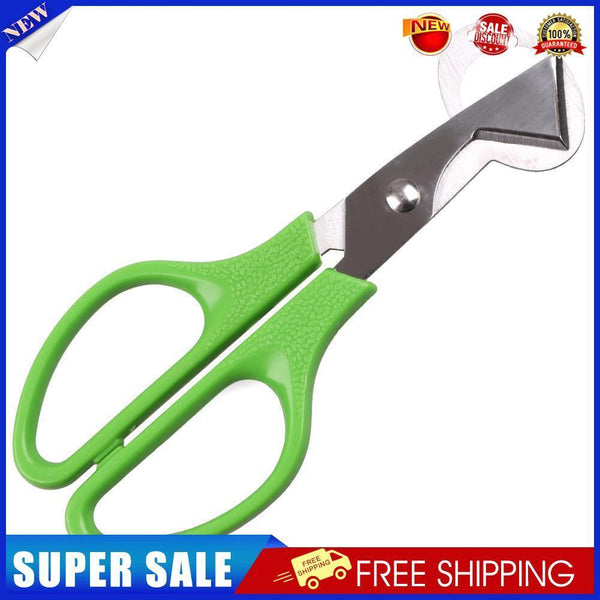 Creative Stainless Steel Pigeon Quail Egg Scissor Birds Eggshell Cut Opener
