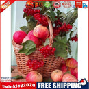 DIY Full Round Diamond Painting Fruits Picture Rhinestone Mosaic Handwork