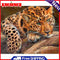 Leopard Oil Paint By Numbers Kits Canvas DIY Craft Coloring Drawing Home Decor