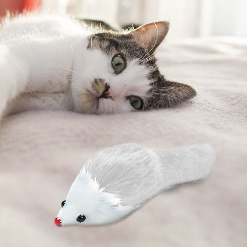 6pcs Cat Plush Toys Simulation Big Mouse Sounding Interactive Toys Pet Suppli