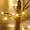Birch Tree Lighted Fairy Spirit 24 LED Tabletop Light up Tree Lamp (Black)