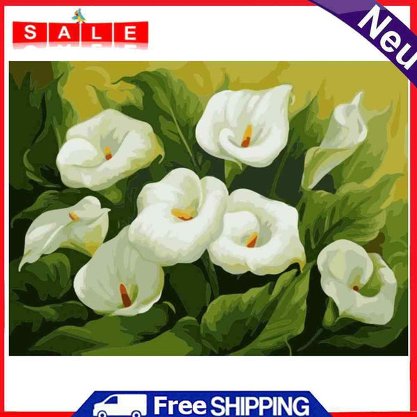 DIY Digital Painting By Numbers Flower Oil Drawing Wall Picture Living Room Art