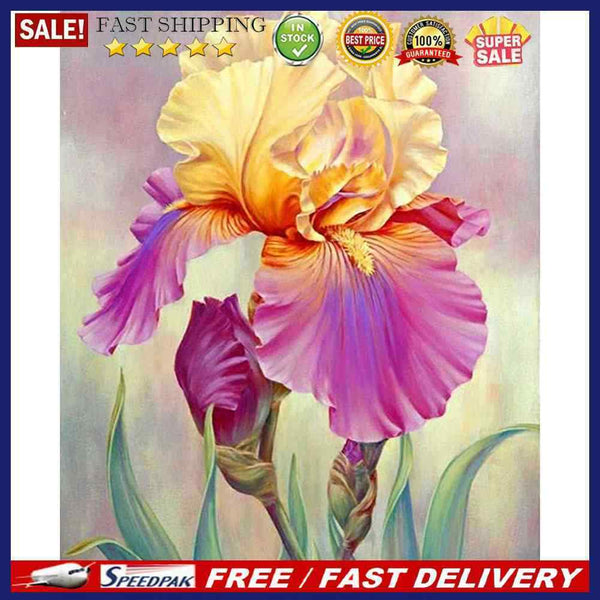 40x50cm Colorful DIY Paint By Number Kit Flowers of Different Colors Home Decor