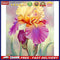 40x50cm Colorful DIY Paint By Number Kit Flowers of Different Colors Home Decor