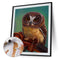 DIY Digital Picture Owl Oil Painting By Numbers Set Acrylic Handicraft Art Craft