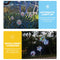 LED Solar Butterfly Ball Hanging Tree Lamps - Round Sunlight - Outdoor