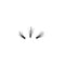 Dramatic Long Volume Fluffy V-shape Individual Lashes False Eyelashes Segment