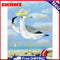 Captain Seagull Oil Paint By Numbers DIY Craft Coloring Drawing Home Decoration