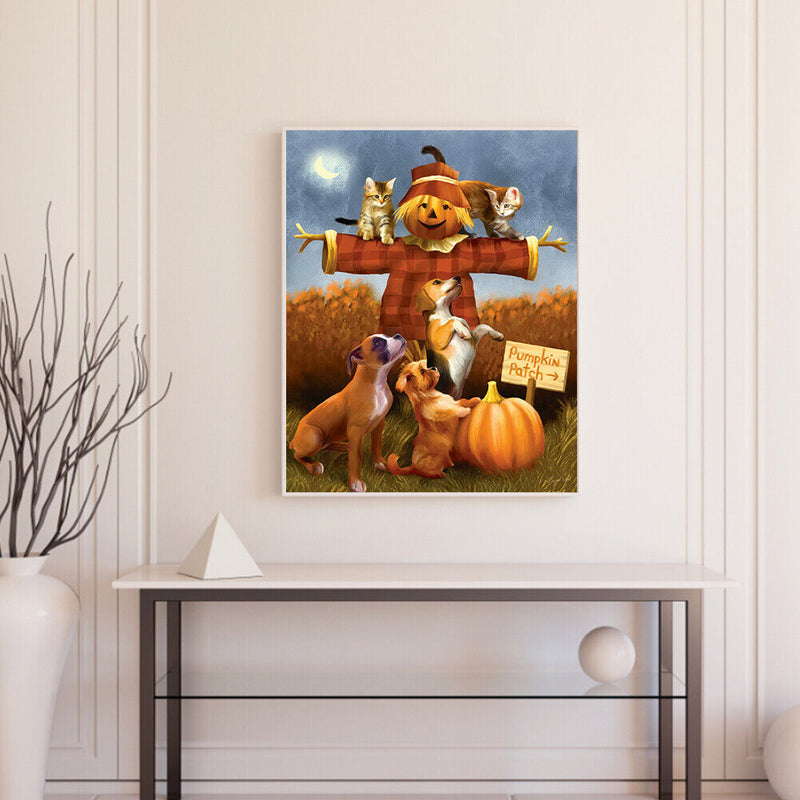 Cat Dog on Scarecrow Oil Paint By Numbers Kit Drawing Picture 40x50cm (B1600)