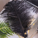 10pcs Fluffy Ostrich Feather Family Room DIY Jewelry Elegant Plume Feather Decor