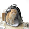 Pet Carrier Backpack Bubble Backpack Cats and Puppies for Travel Hiking Out