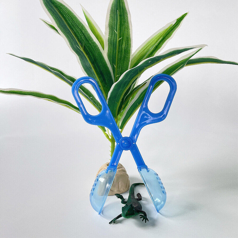 Reptile Terrarium Lizards Tweezers Pet Raising Feeding Tool Clips (Blue) Newly