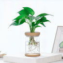 Transparent Plastic Vase Plant Flower Pot Hydroponic Vase Flower Arrangement