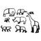 8Pcs Set AnimalCake Cookies Biscuit Cutter Decorating Mould C2B5 Baking S3V9