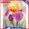 DIY Paint By Number Kit Flowers of Different Colors Acrylic Paint Ornament Gift