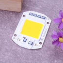 10pcs 50W LEDs Floodlights COB Chip 220V Input Integrated IC (Warm White)