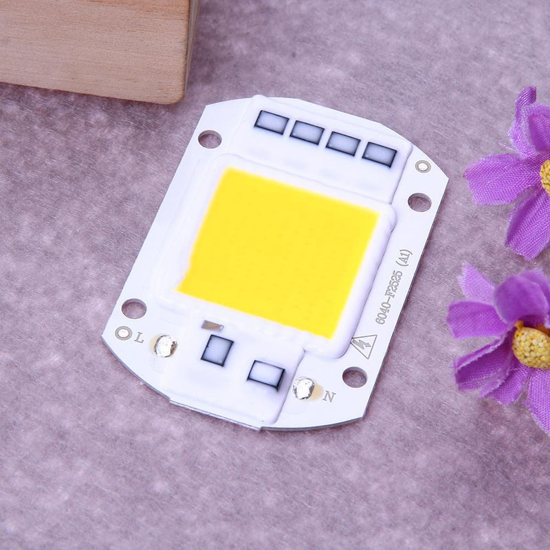10pcs 50W LEDs Floodlights COB Chip 220V Input Integrated IC (Warm White)