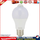 LED PIR Bulb Light Night Light Motion Sensor Lamp for Home Lighting (5W) Newly