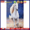 5D DIY Diamond Painting Kits White Horse Full Round Drill Wall Decor Art Cr