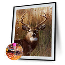 5D Full Round Drill Diamond Painting Kit Deer Animal Art Decor for Adults