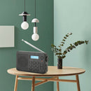 Multifunctional Digital Radio Wireless Reception Fm Radio Output with Antenna