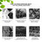 5 Pack Plant Grow Bags with Flap Potato Tomato Planting Pouch Non-Woven Fabric