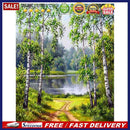Paint By Numbers Kit DIY Forest Trail Hand Painted on Canvas Colouring Oil Art