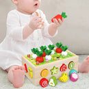 Montessori Toys - Wood Preschool Learning Fine Motor Skills Harvest Game