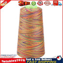 Rainbow Cross Stitch Sewing Threads Textile Yarn Woven Embroidery Line(C) Newly