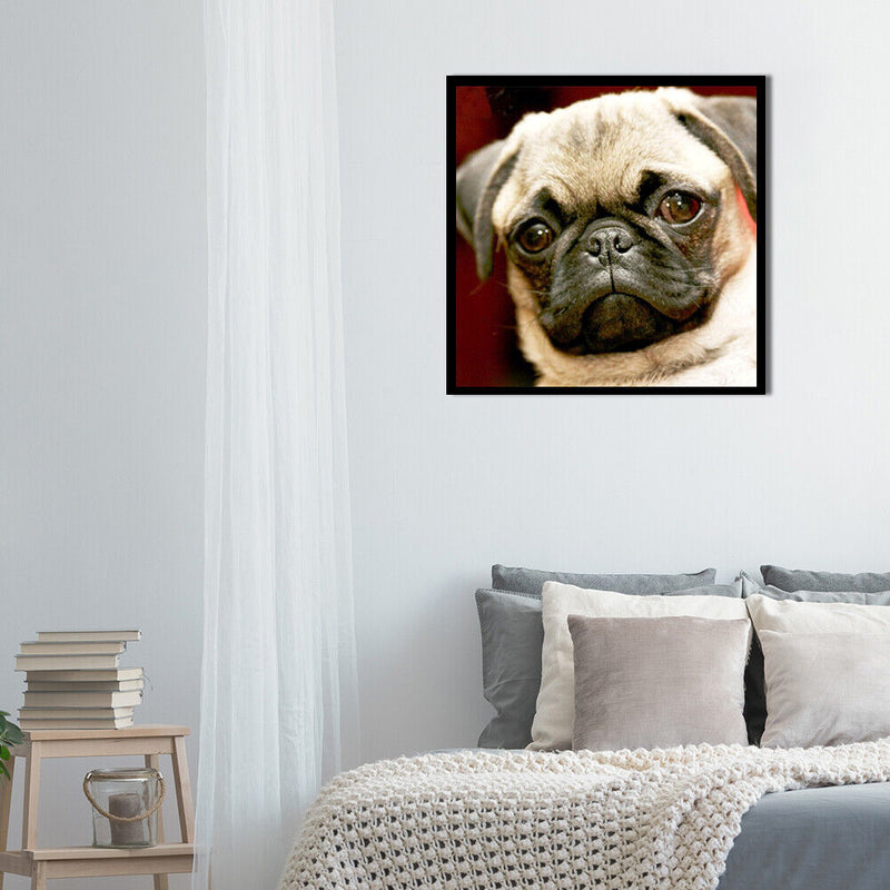 Canvas Painted Oil Paint By Numbers Dog Animal DIY Wall Art Modern Bedroom Decor