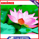 DIY Digital Painting By Numbers Lotus Frameless Canvas Picture Home Decoration