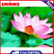 DIY Digital Painting By Numbers Lotus Frameless Canvas Picture Home Decoration