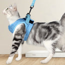 Polyester Collar Strap Comfortable Easy Control Running with Traction Leash Set