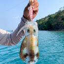 #A 100mm 12g Sinking Luminous Artificial Wood Shrimp Bait Squid Hook Fishing Lur