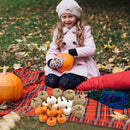 22 Pcs Artificial Pumpkins Set Harvest For Halloween Thanksgiving Fall T4V7