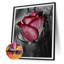 5D DIY Diamond Painting Valentines Day Rose Full Round Drill Picture Women Gifts