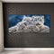 Two White Tigers Oil Paint By Numbers Kits DIY Craft Coloring Drawing Home